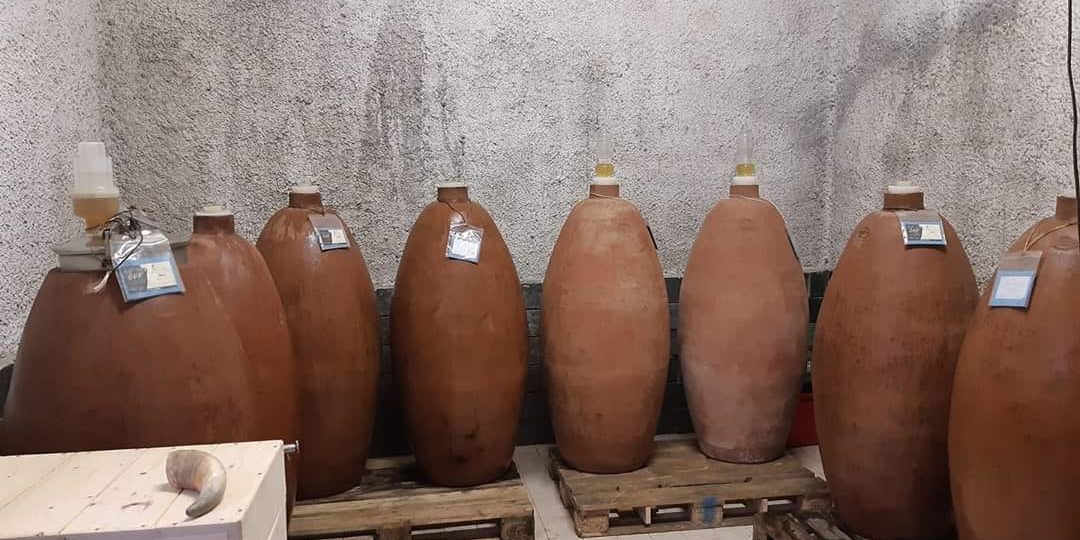 106493621_2537082823288578_275800487704047393_o