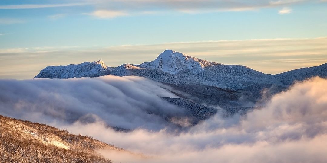 137233079_2697164363947089_8322524872142867172_o