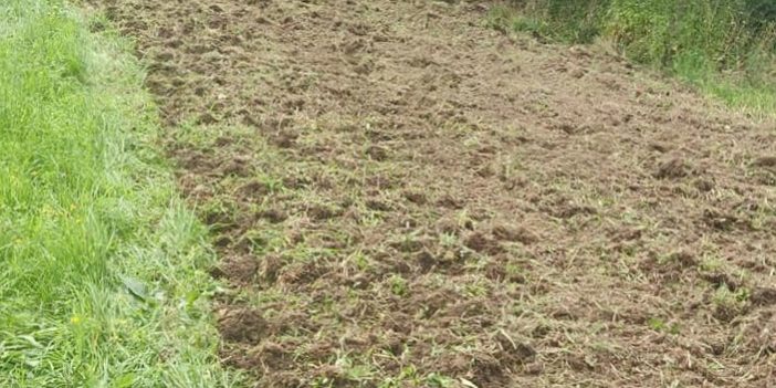 117885445_2572634563066737_5380459858072143656_n