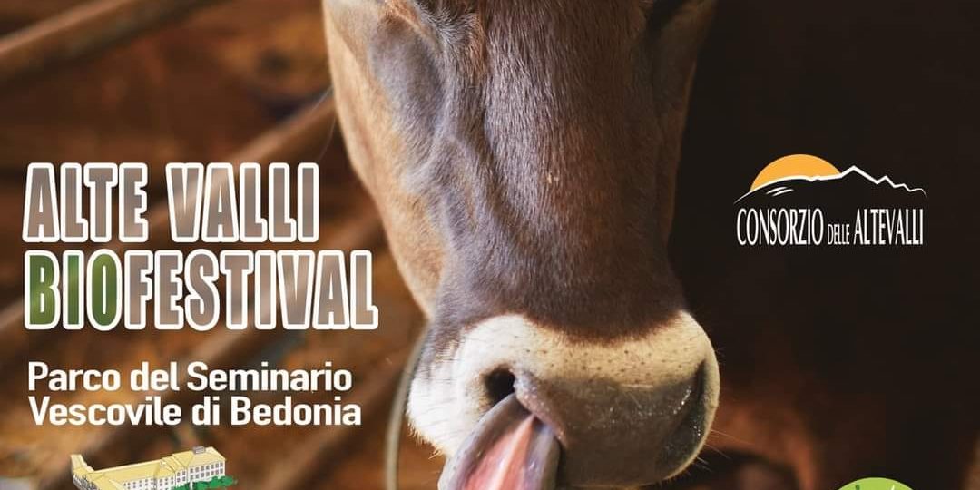 118172192_2578620979134762_6345859128565909263_o