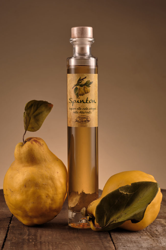 126906844_2659911964338996_5252133179504066743_o