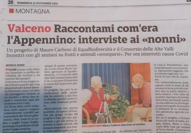 127053598_2661281300868729_1429047343788173794_o