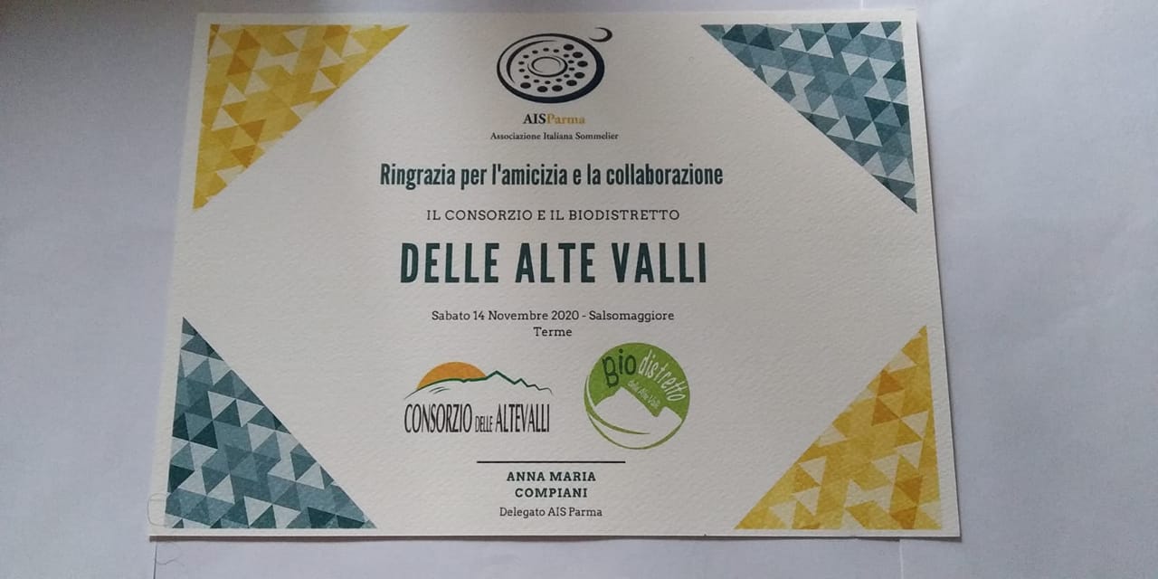 130084119_2671500026513523_4432175422537679702_o