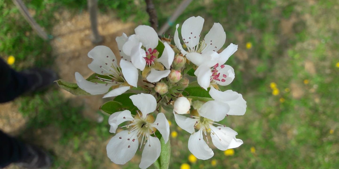 93869014_2473136923016502_6779576778332569600_o