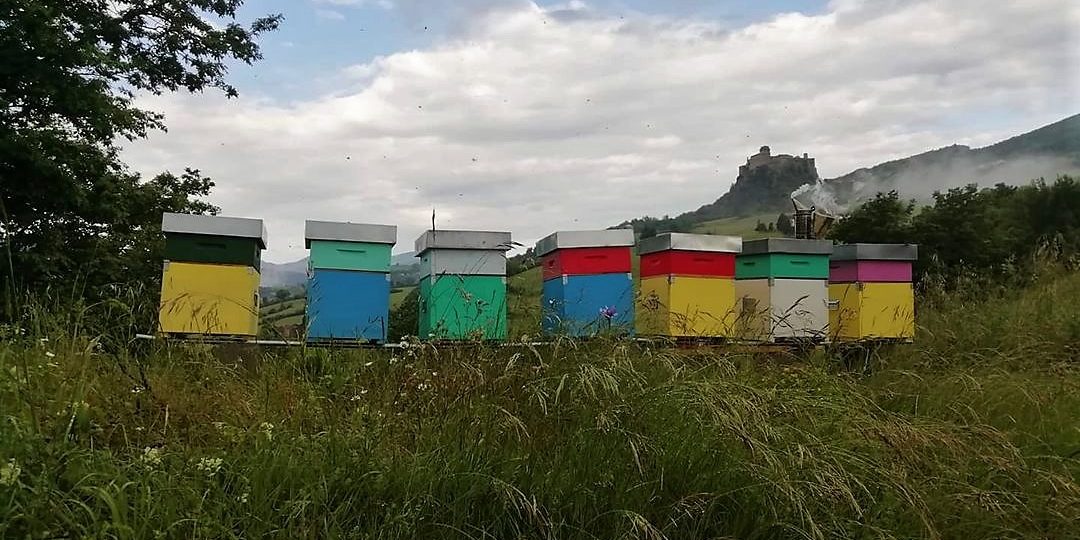 99299322_2501925900137604_6814476905190785024_o