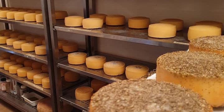 Formaggi stagionati delle alte Valli