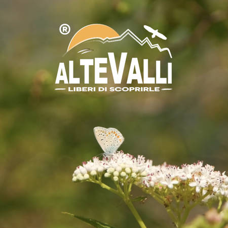 Primavera nelle Alte Valli ci prepariamo