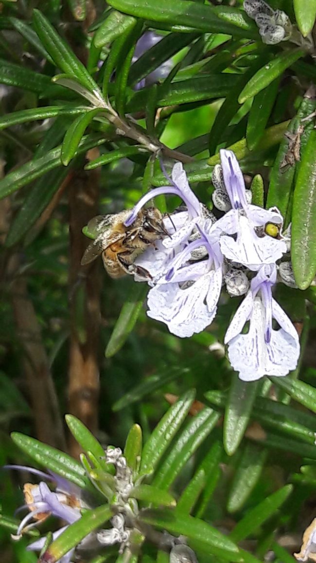 281163148_3046312619032260_4428442526161800968_n