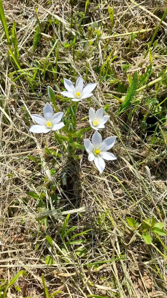 283307372_3047987642198091_4615976290916768387_n