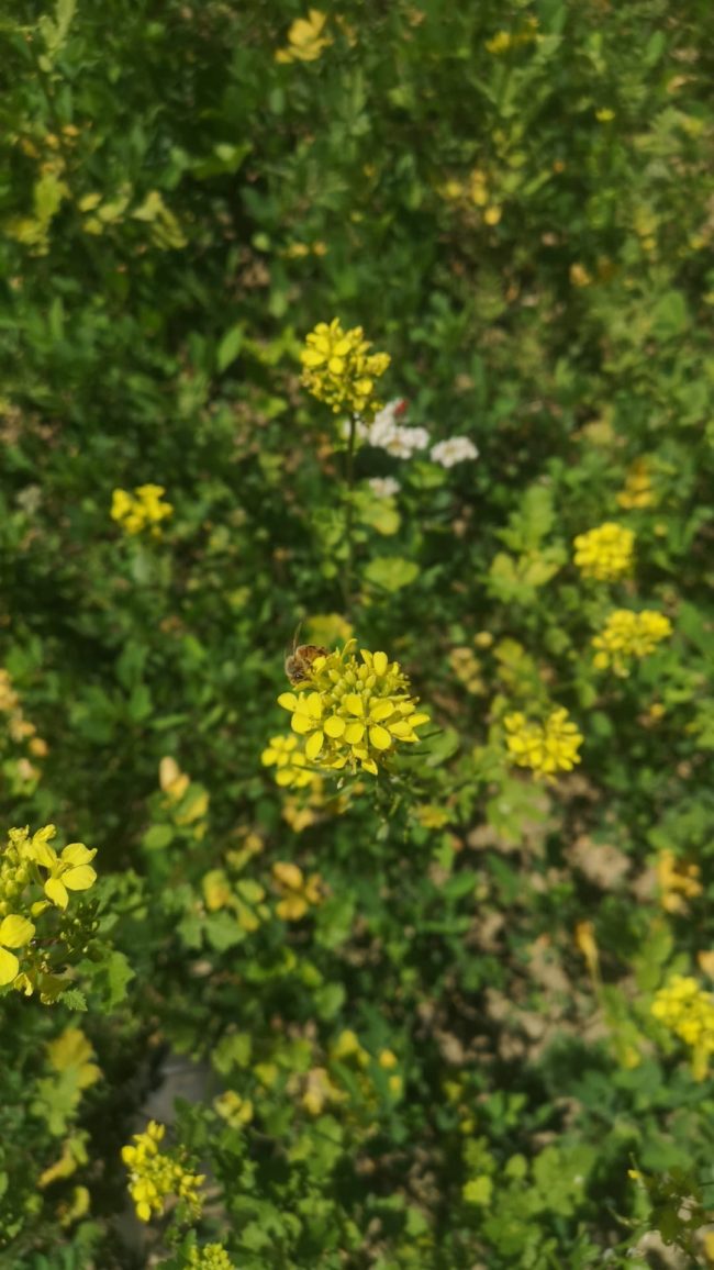 286214541_3062193880777467_5764346921195404289_n